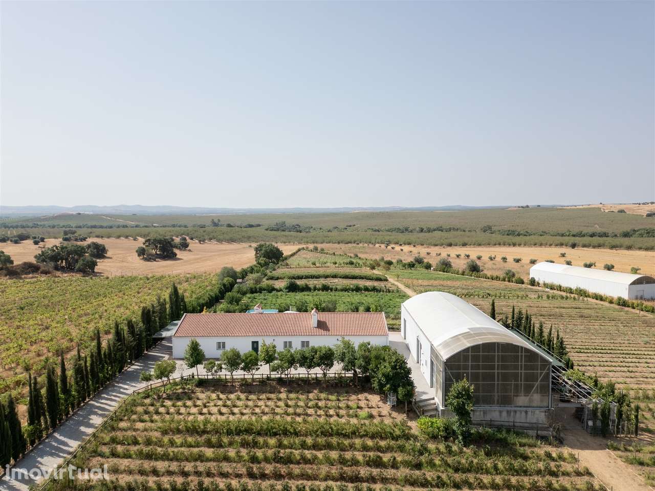 Quinta Biológica - Monte de Palma em Sao Manços com negócio. - Grande imagem: 2/54