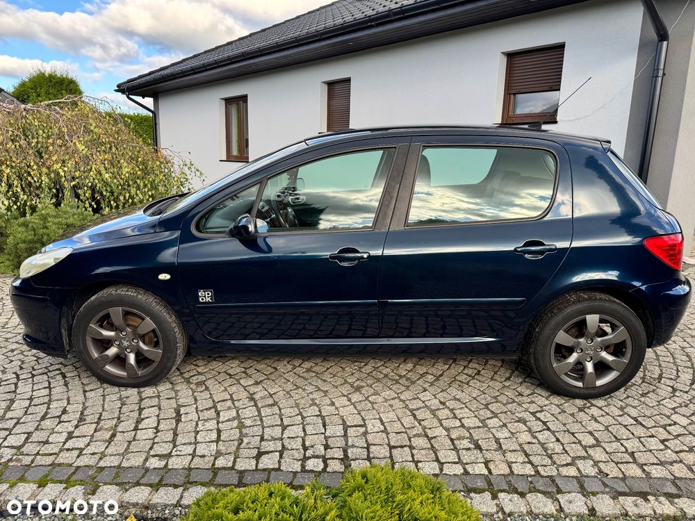 Peugeot 307 140 Epok - 18