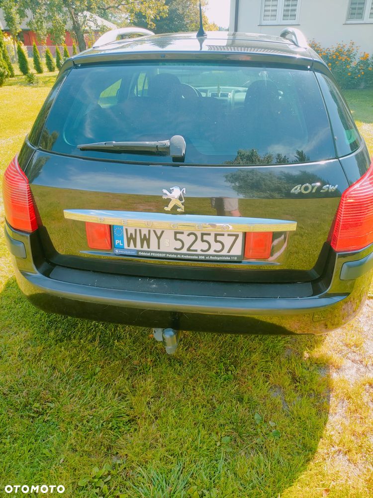 Peugeot 407 - 6
