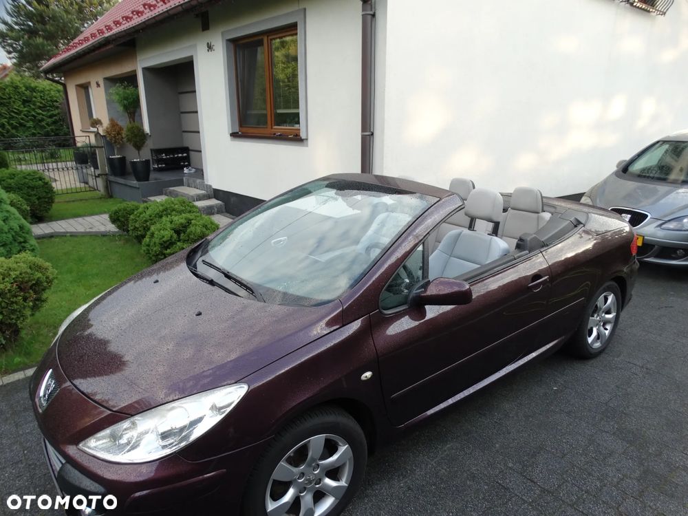 Peugeot 307 - 15