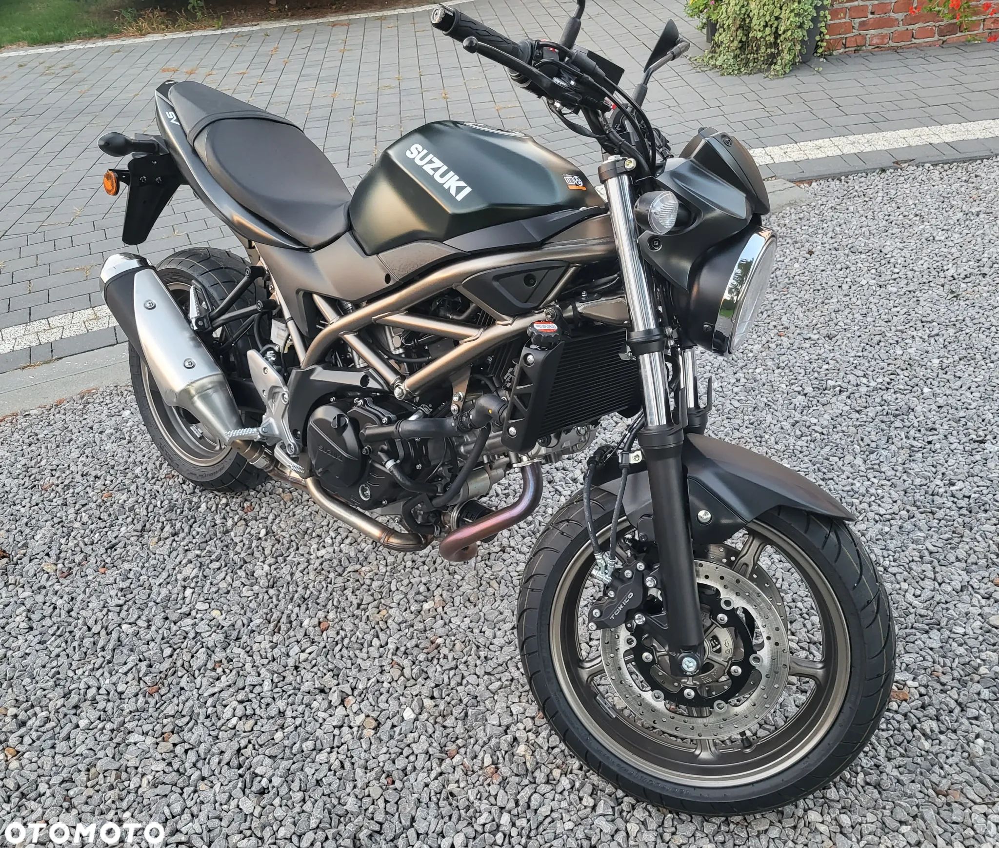 Suzuki SV - 1