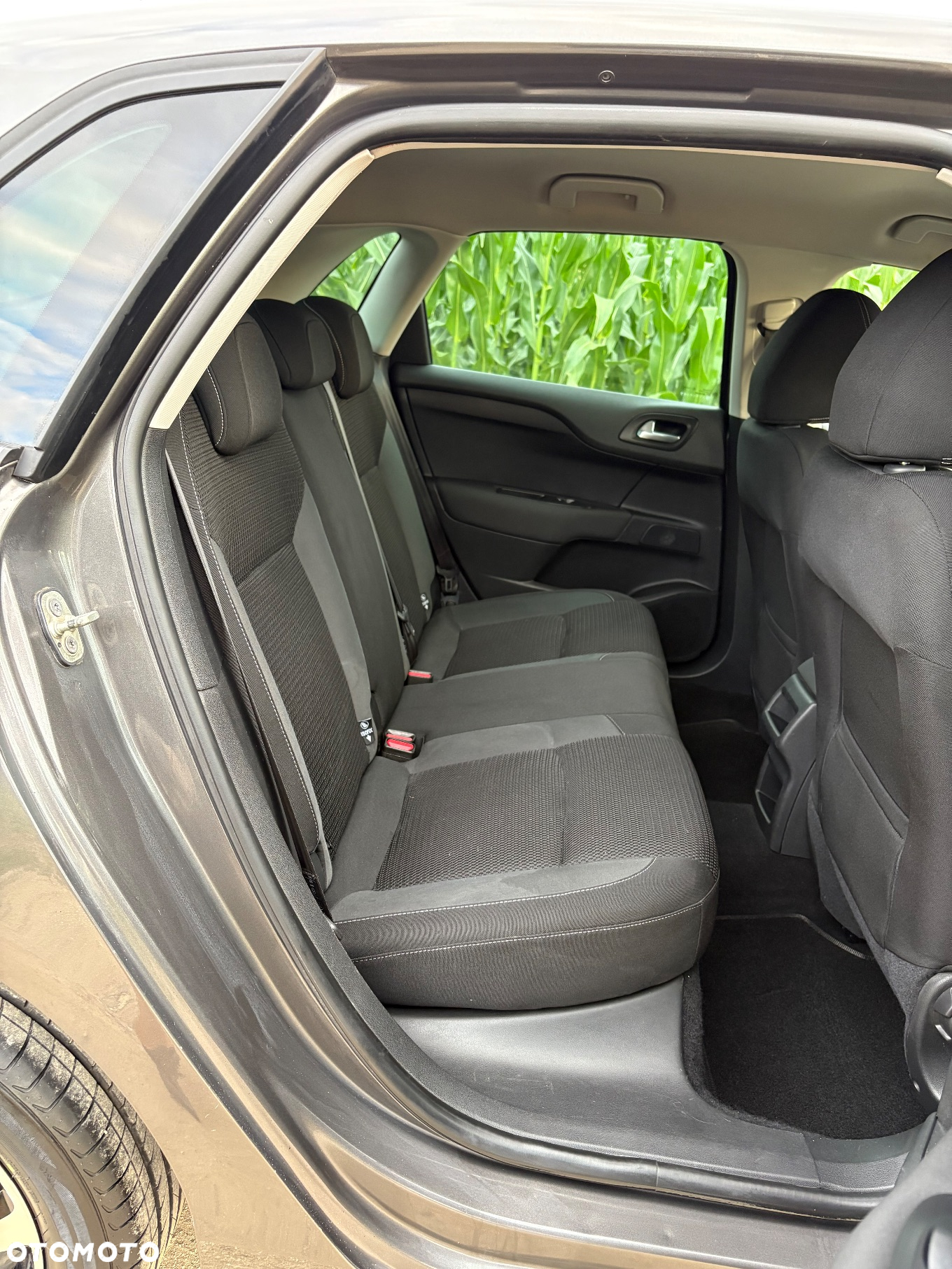Citroën C4 BlueHDi 120 Stop&Start Shine - 19