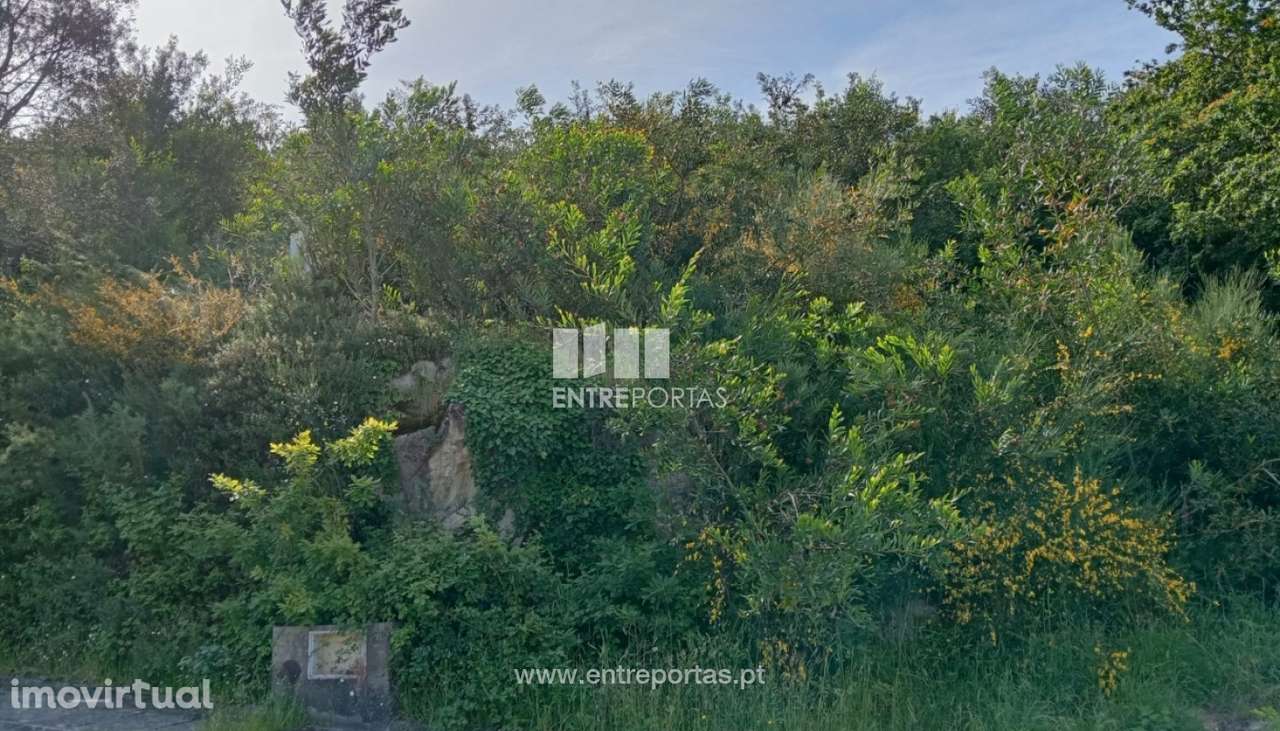 Lote de terreno para venda, Âncora, Caminha - Grande imagem: 3/25