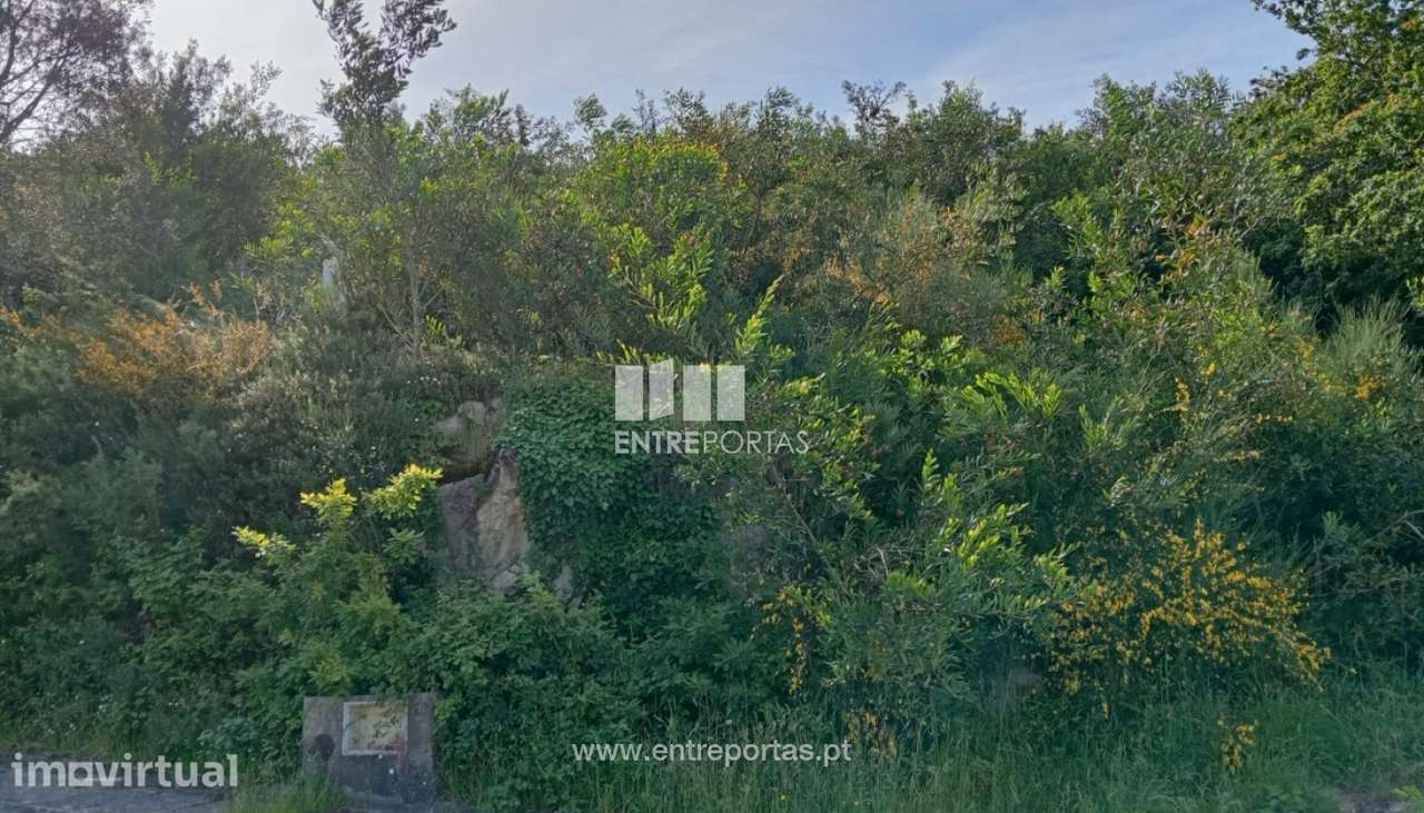 Lote de terreno para venda, Âncora, Caminha - Grande imagem: 3/25