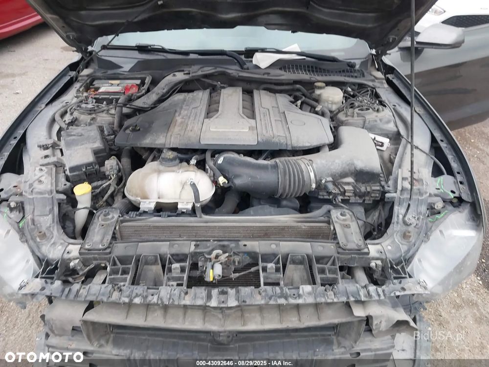 Ford Mustang 5.0 V8 Mach 1 - 2