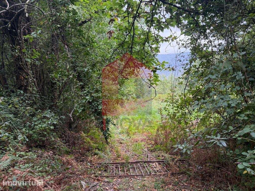 Terreno agrícola, Duas Igrejas - Grande imagem: 3/29
