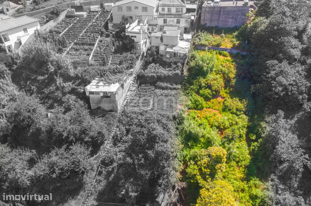 TEREENO LOCALIZADO NO FUNCHAL