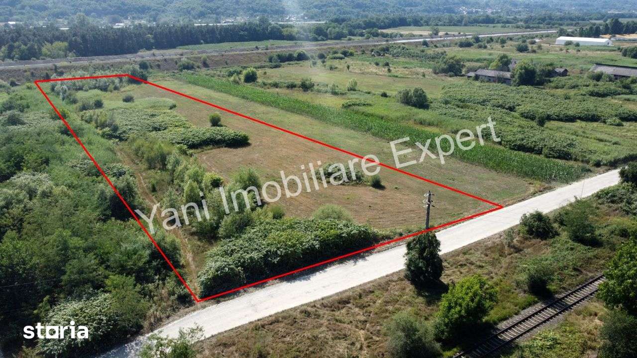 Teren de vânzare în comuna Băiculești, Județ Argeș ( 8229 mp ) - Imagine principală: 3/13