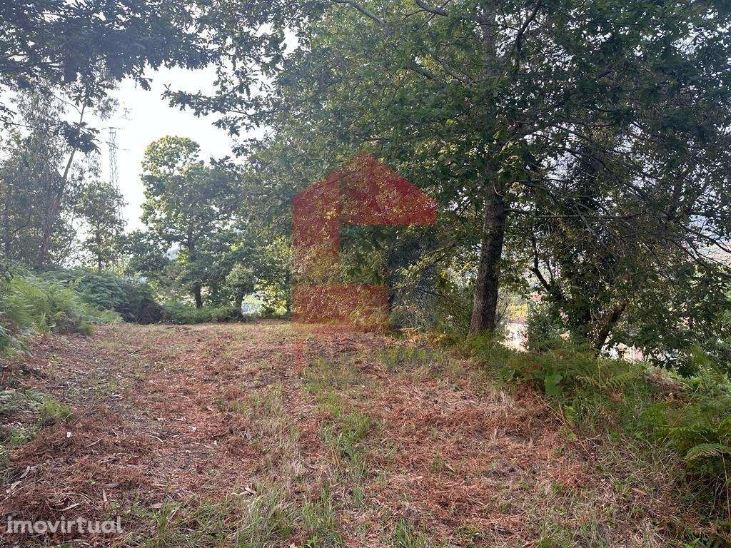 Quintinha, Goães - Grande imagem: 5/21