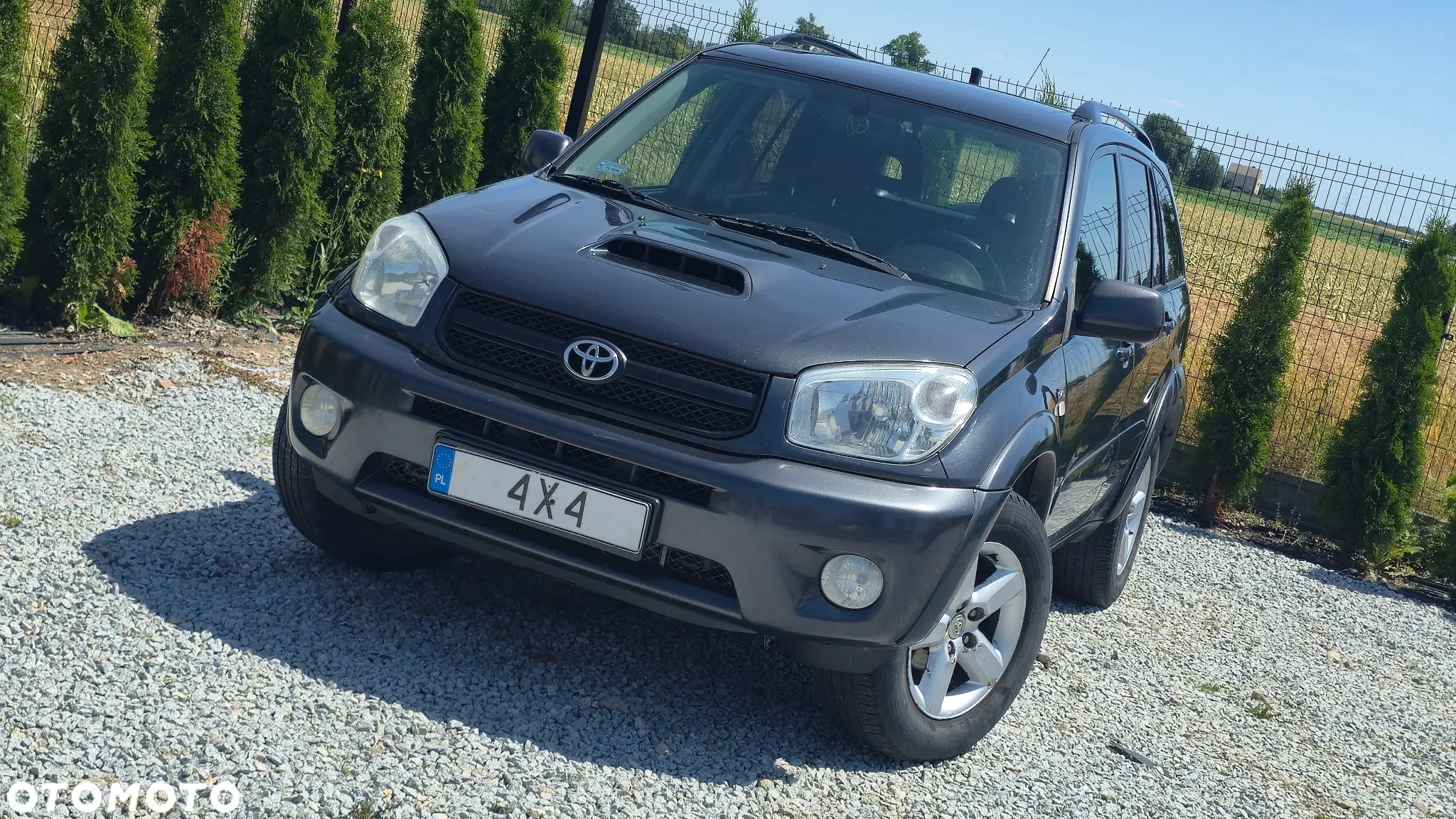 Toyota RAV4 2.0 D-4D 4x4 - 19
