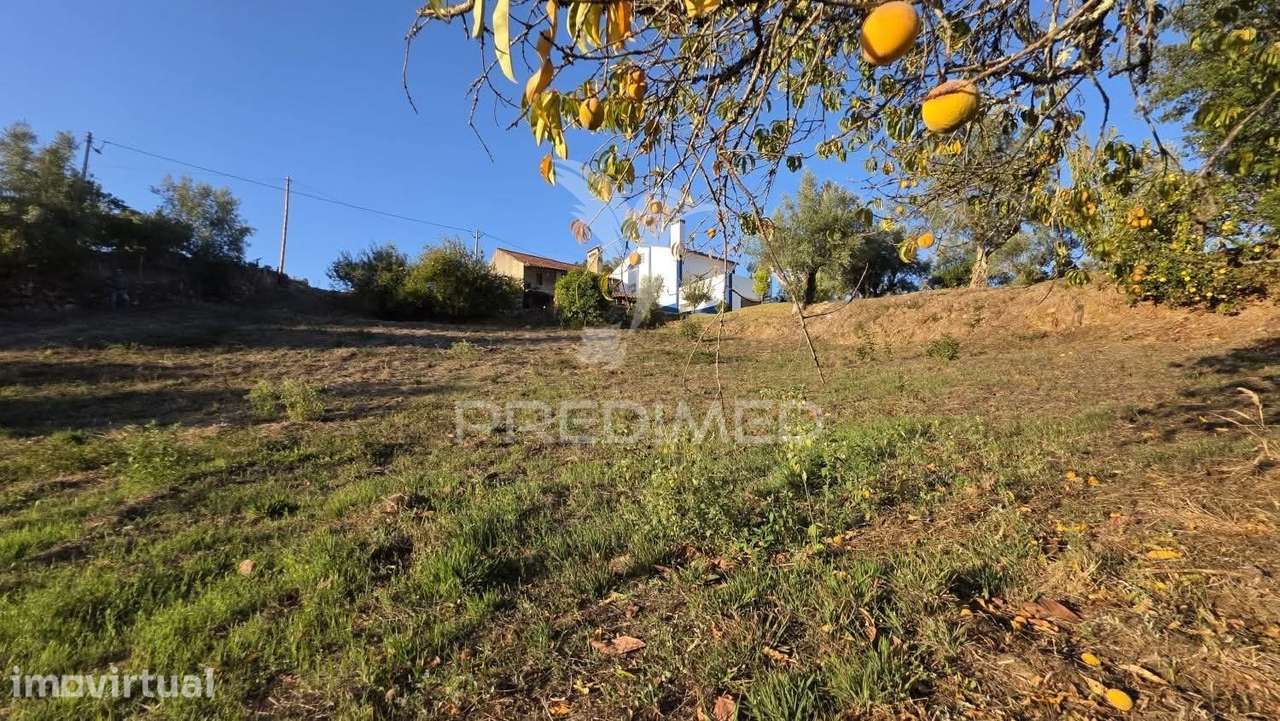 MORADIA FERREIRA DO ZÊZERE - Grande imagem: 3/18