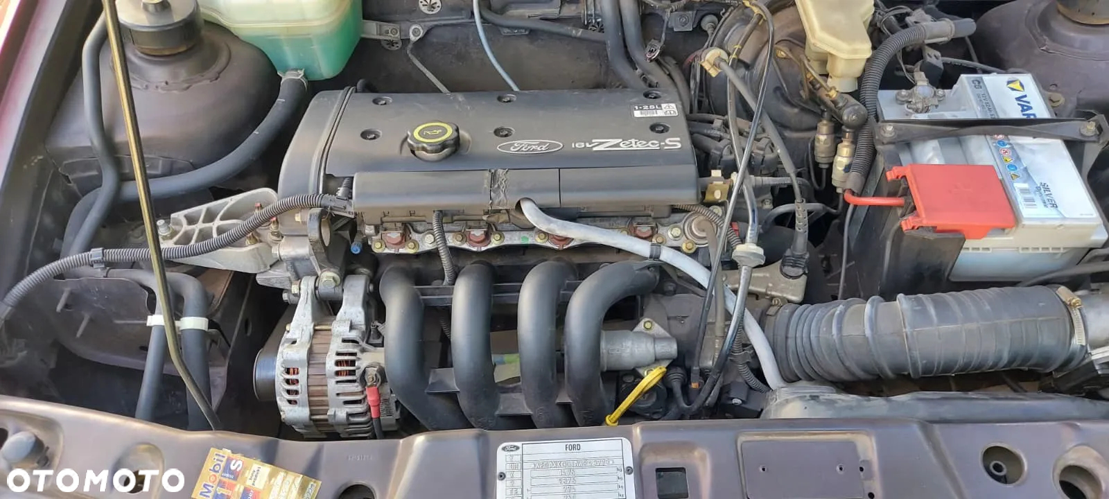 Ford Fiesta 1.25 Fun - 8