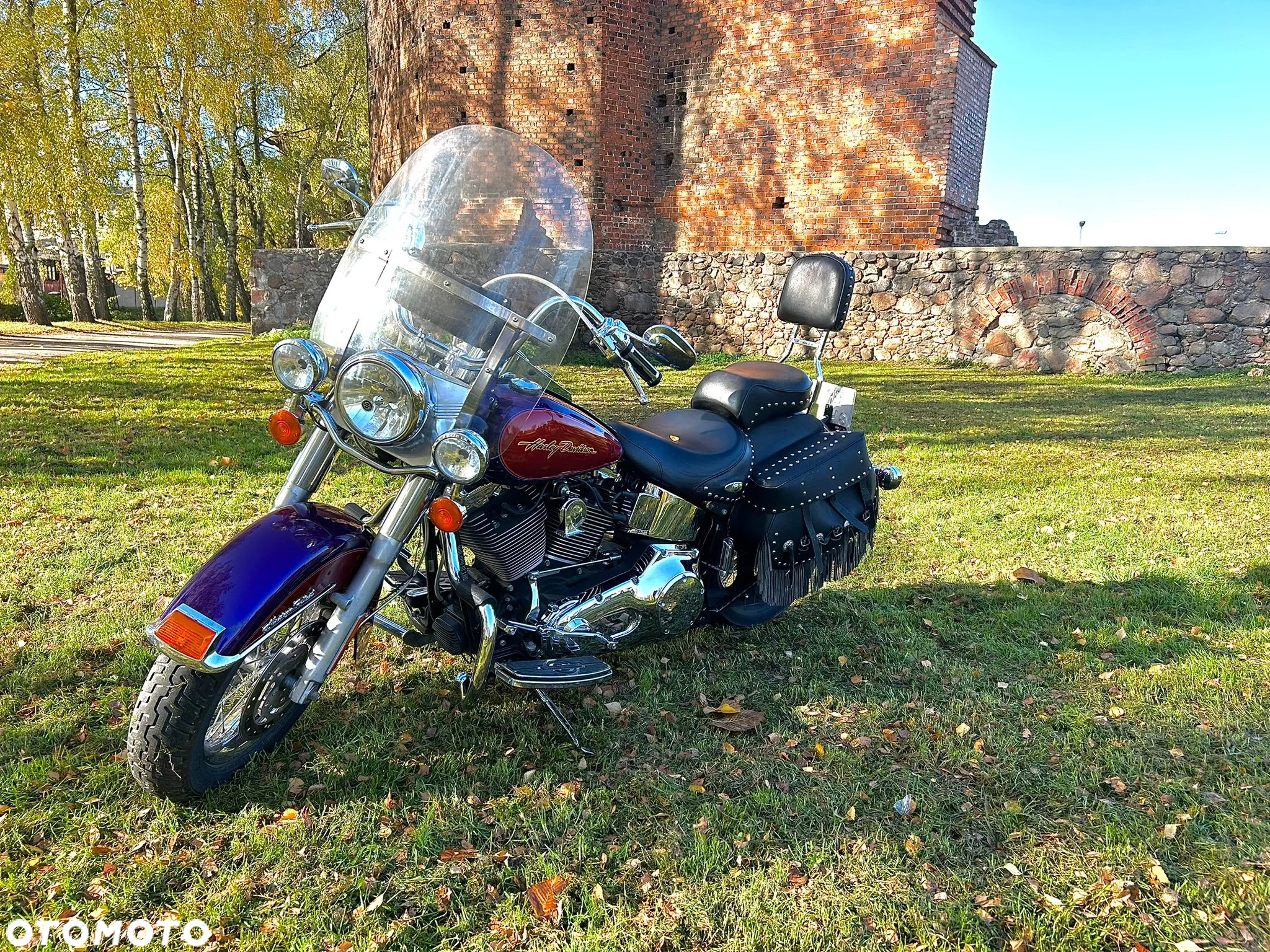 Harley-Davidson Softail - 9