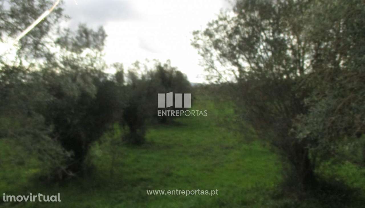 Venda de terreno com 2500m², Lanheses, Viana do Castelo - Grande imagem: 5/30