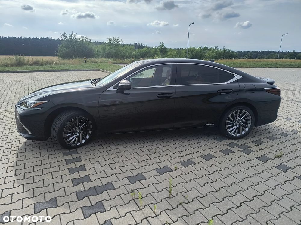 Lexus ES 300h Business Edition + - 2
