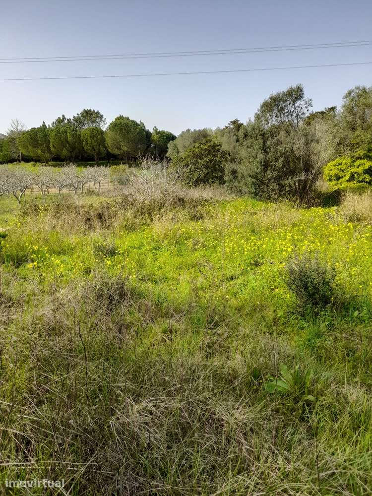 Terreno na Azóia com 5.600 m2 - Grande imagem: 2/8