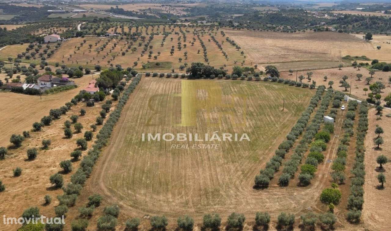 Terreno  Venda em São Vicente do Paul e Vale de Figueira,Santarém - Grande imagem: 2/9