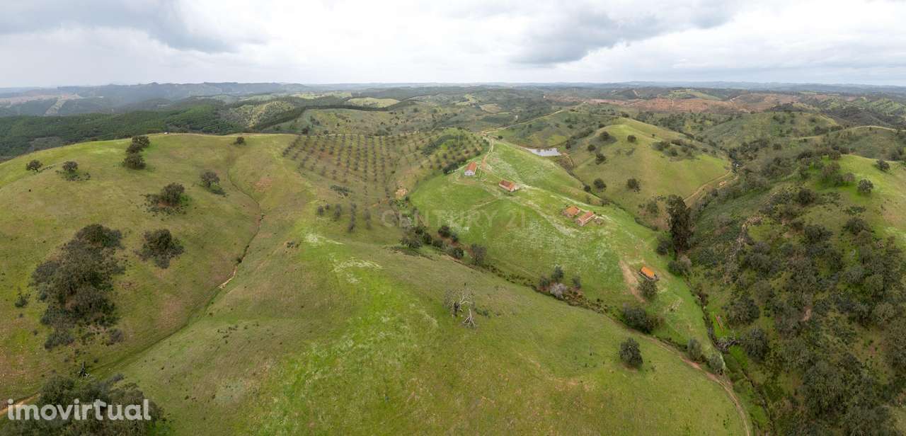 229 Hectares com 3 barragens em Odemira - Grande imagem: 5/25