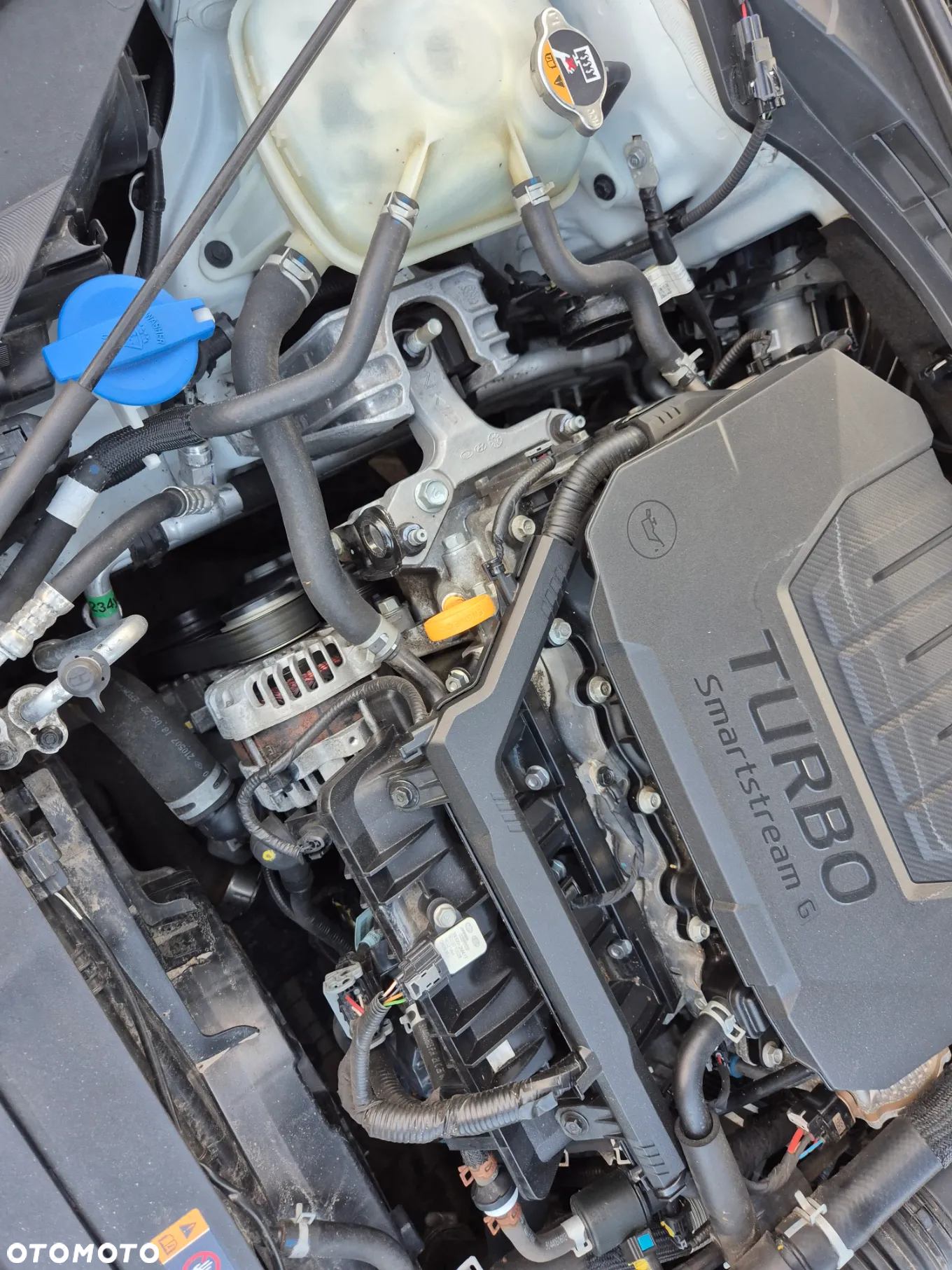 Kia ProCeed 1.5 T-GDI GT Line DCT - 37