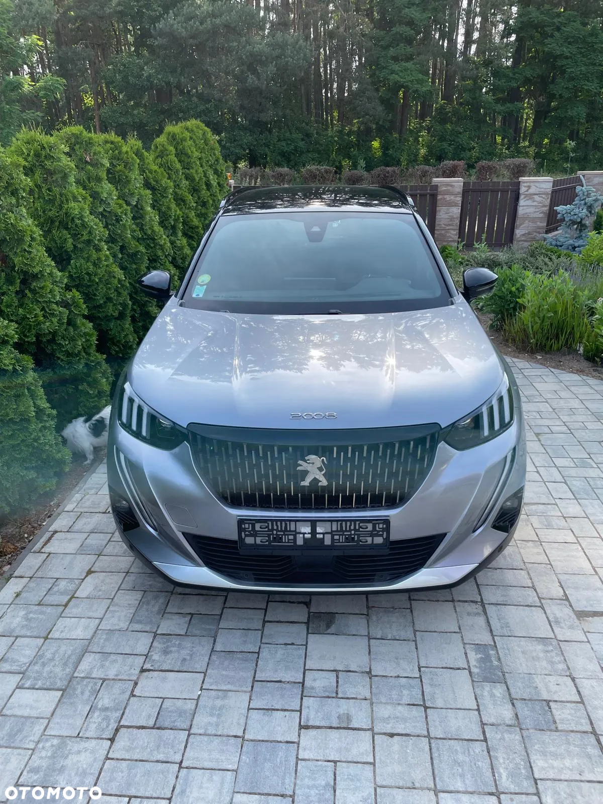 Peugeot 2008 1.5 BlueHDi GT S&S EAT8 - 6