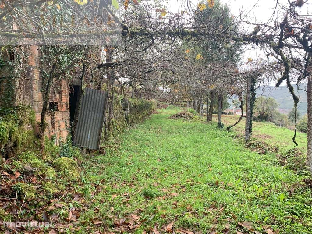 Terreno - Grande imagem: 2/19