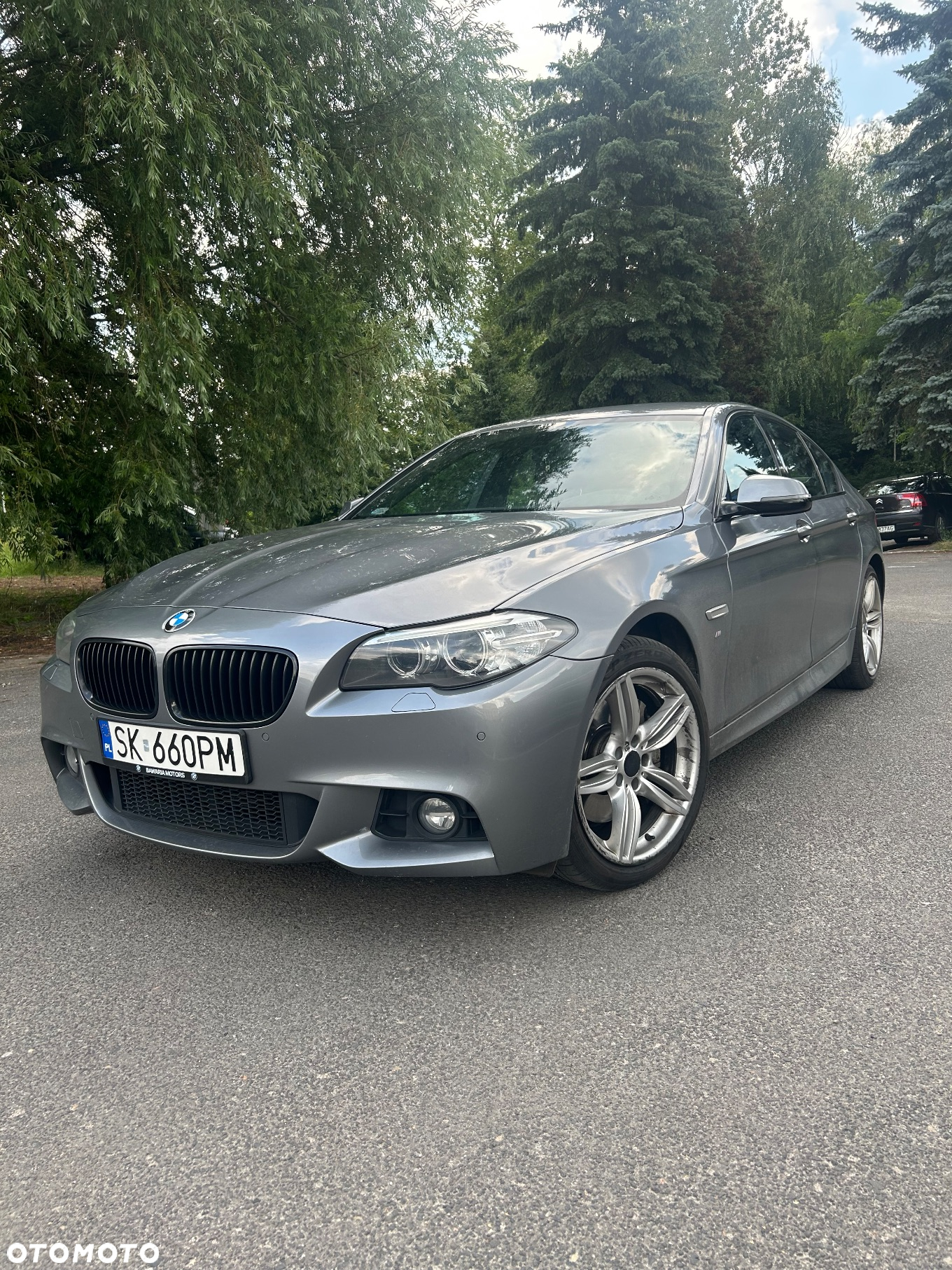 BMW Seria 5 - 30
