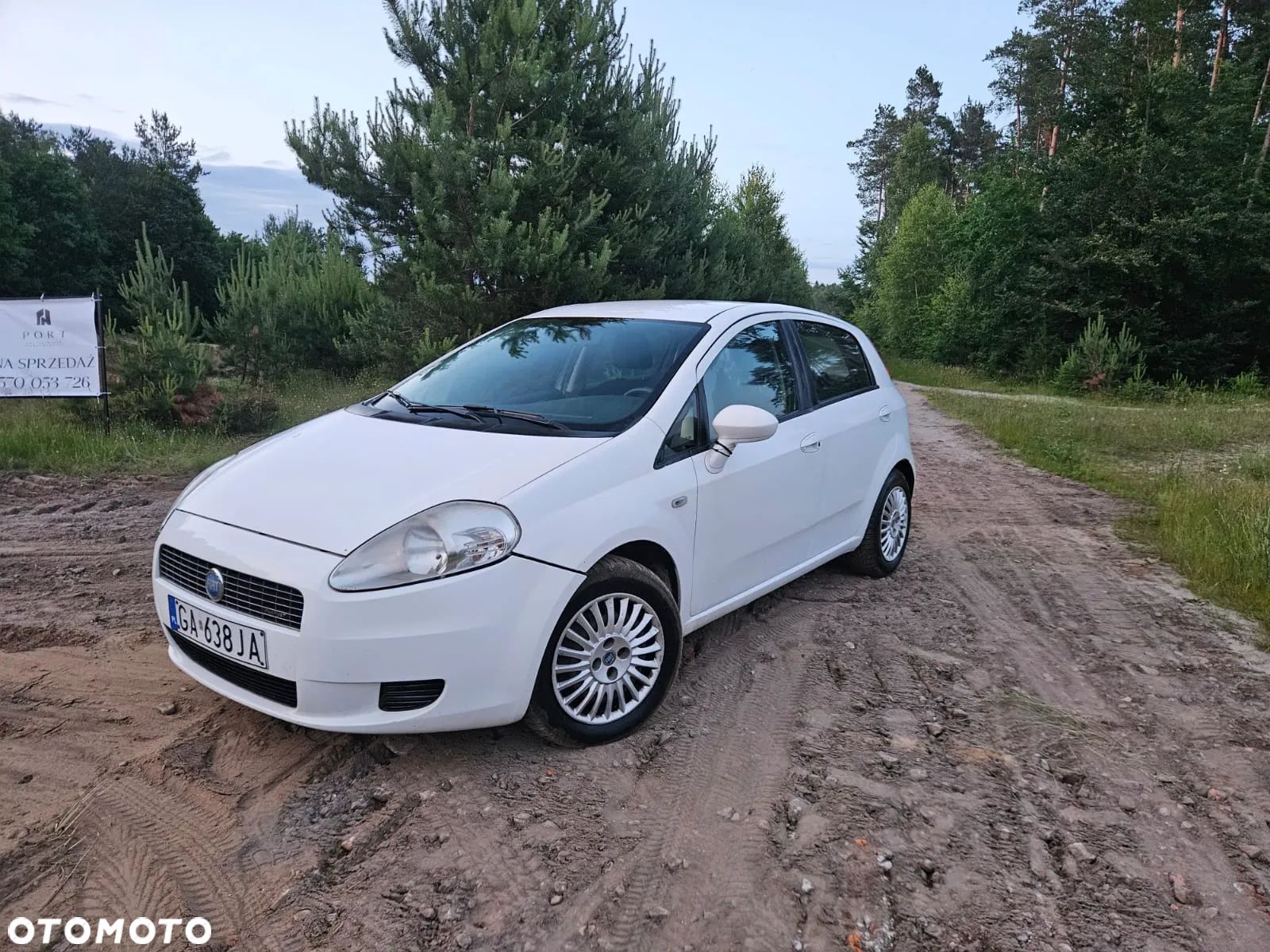 Fiat Punto 1.3 JTD Active - 1