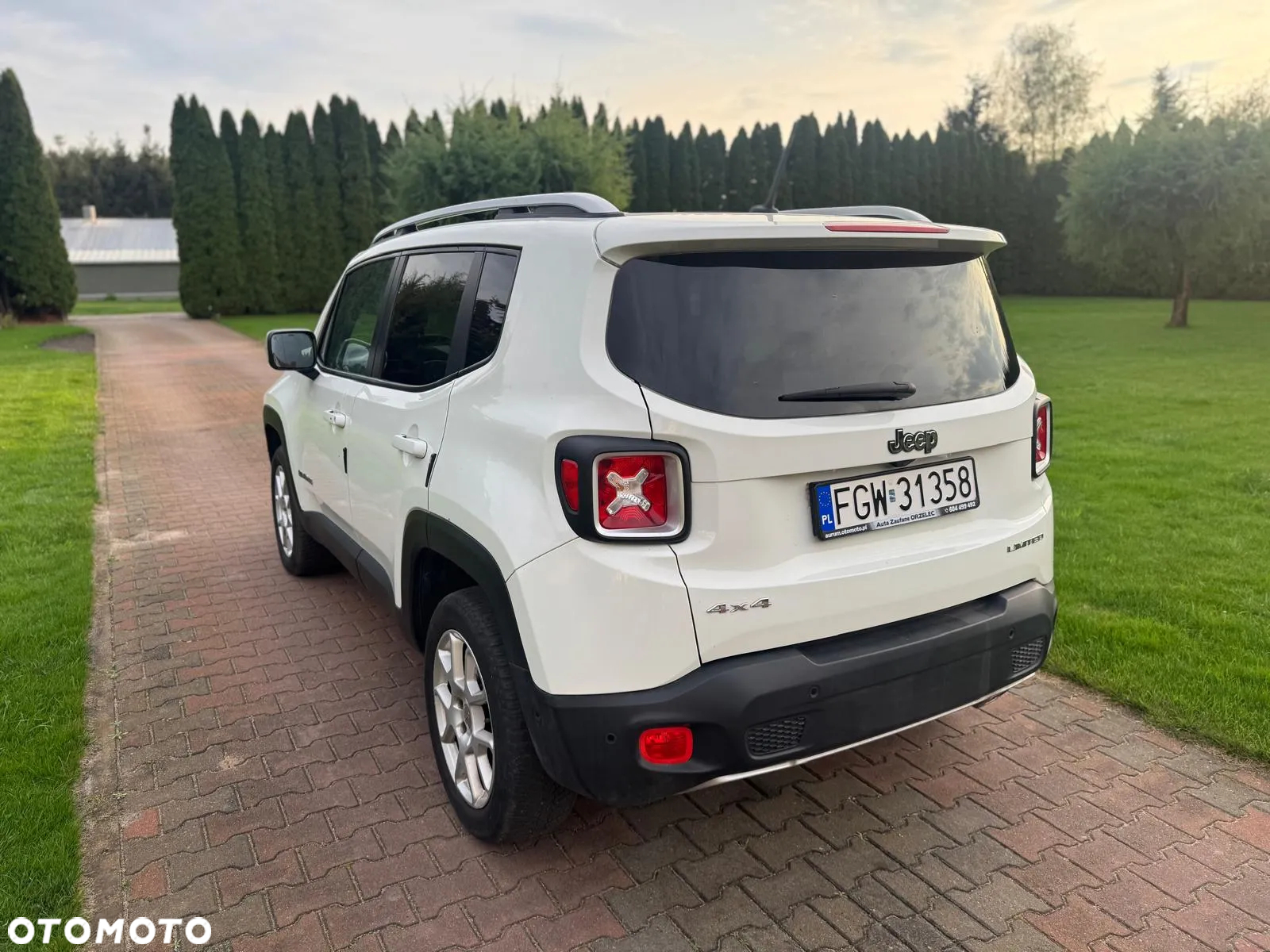 Jeep Renegade 2.0 MultiJet Limited 4WD S&S - 19