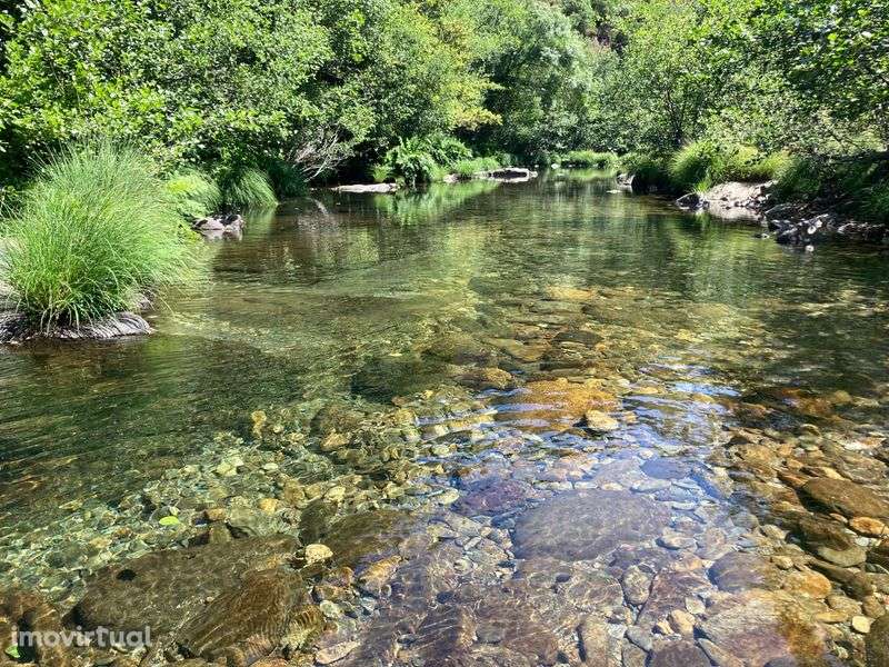 Quinta Arouca 6600mt2 - Grande imagem: 3/12