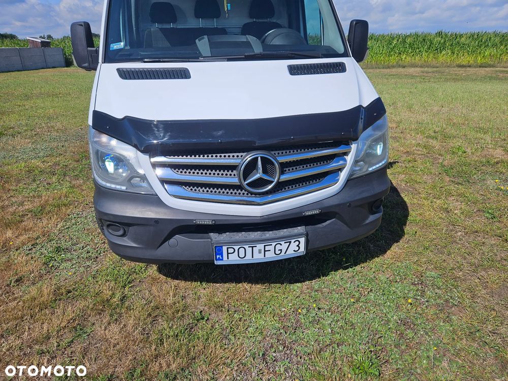 Mercedes-Benz 313 - 3