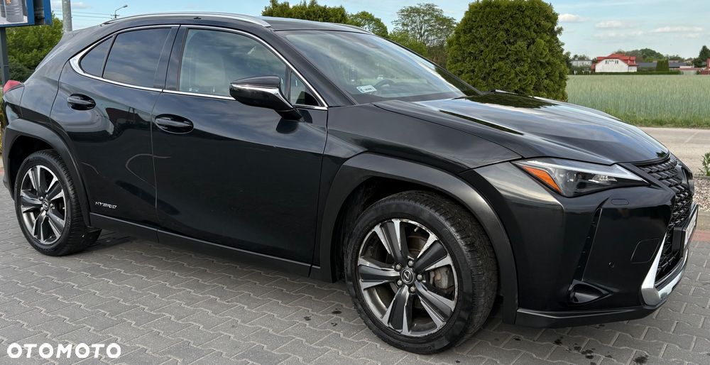 Lexus UX 250h GPF Business Edition 2WD - 2