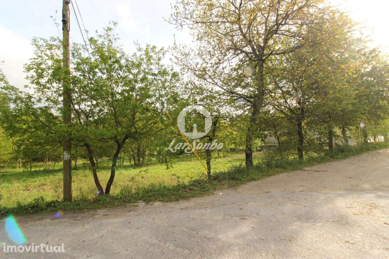 Terreno Moreira do Rei Fafe - Grande imagem: 4/11