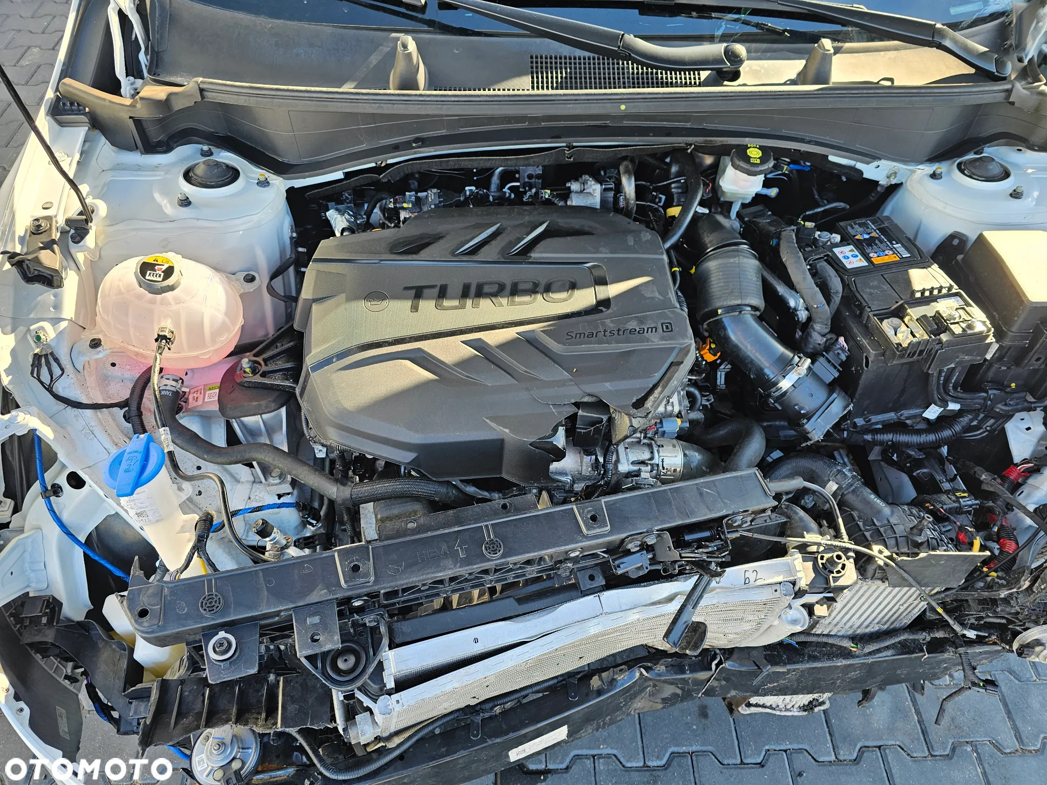 Kia Sportage - 19