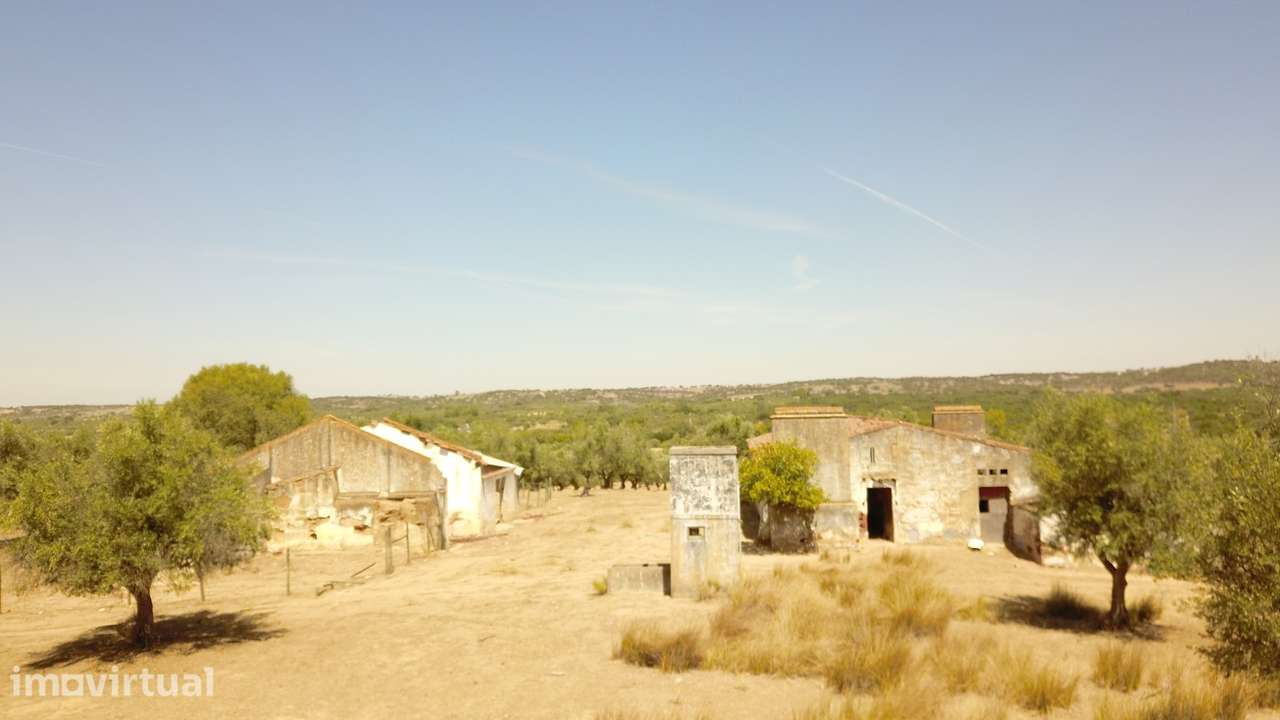 20 HECTARES COM OLIVAL E 417 M² C p/ RECUPERAR NO CORAÇÃO DO ALENTEJO - Grande imagem: 2/56