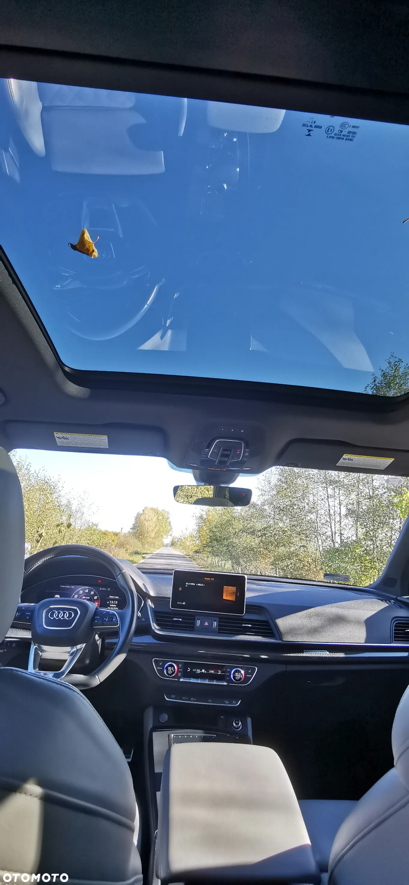 Audi SQ5 3.0 TFSI Quattro Tiptronic - 3