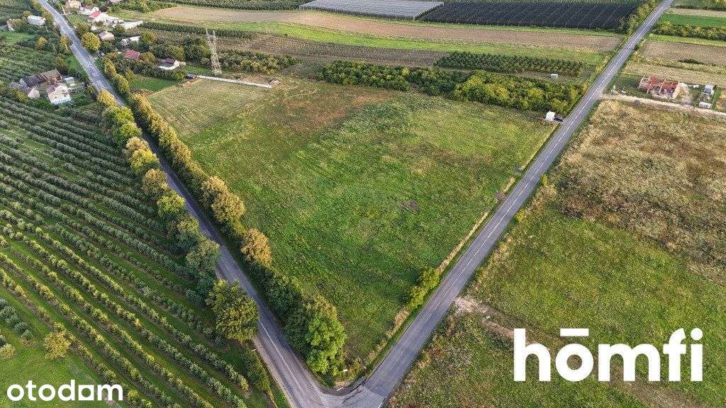 Działka inwestycyjna blisko Częstochowy 2,15 ha - Pełny obrazek: 5/7