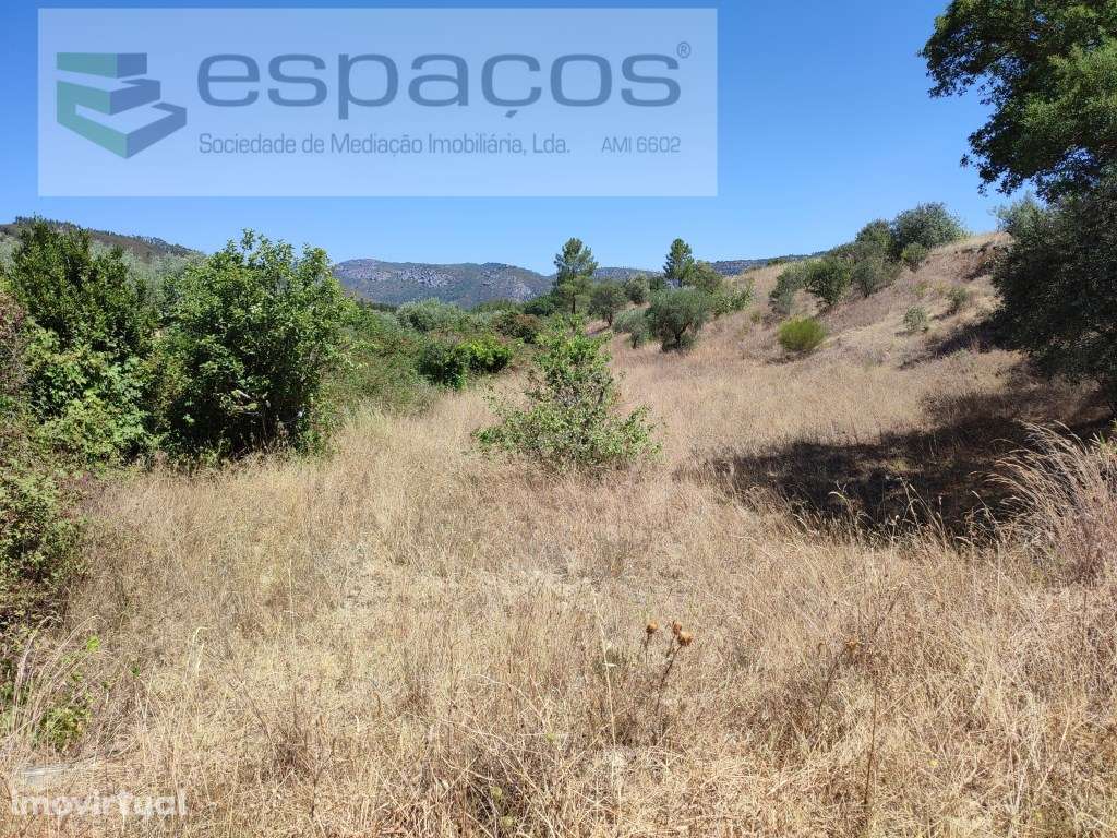 Quinta dos Mentelinhos - Monte do Arneiro - Grande imagem: 3/11