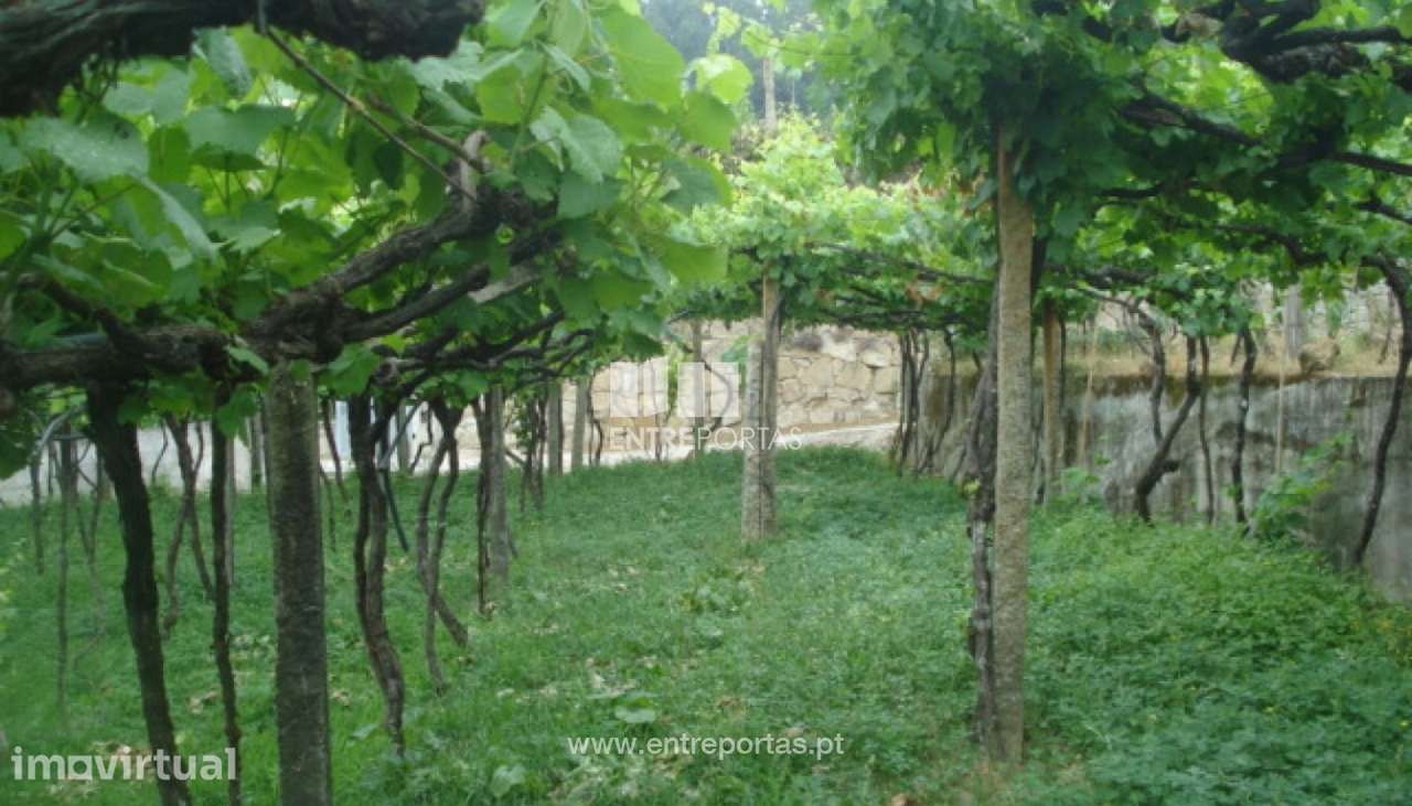Venda Terreno, junto à estrada, Penha Longa, Marco de Canaveses - Grande imagem: 5/10