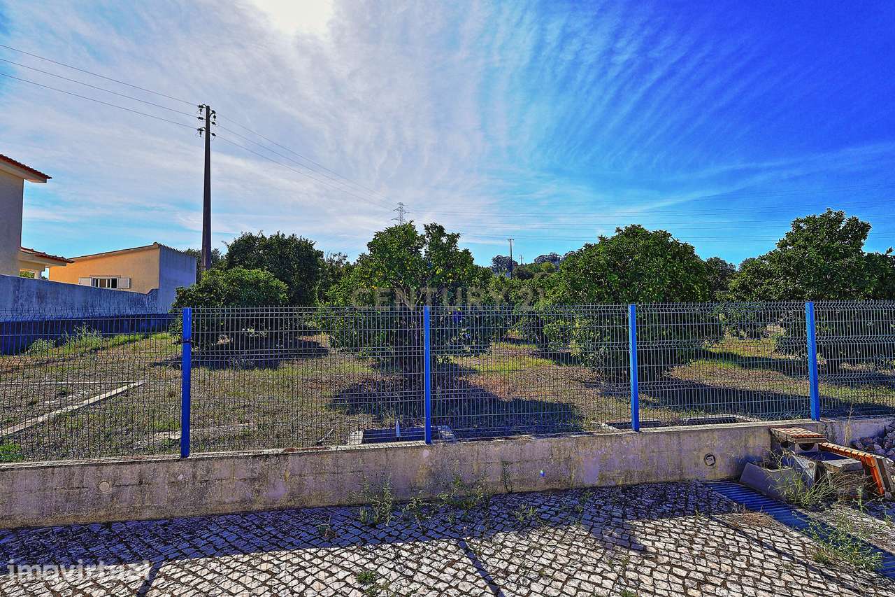 Oportunidade de Investimento, moradia com 6.500 m² de Terreno - Grande imagem: 4/40