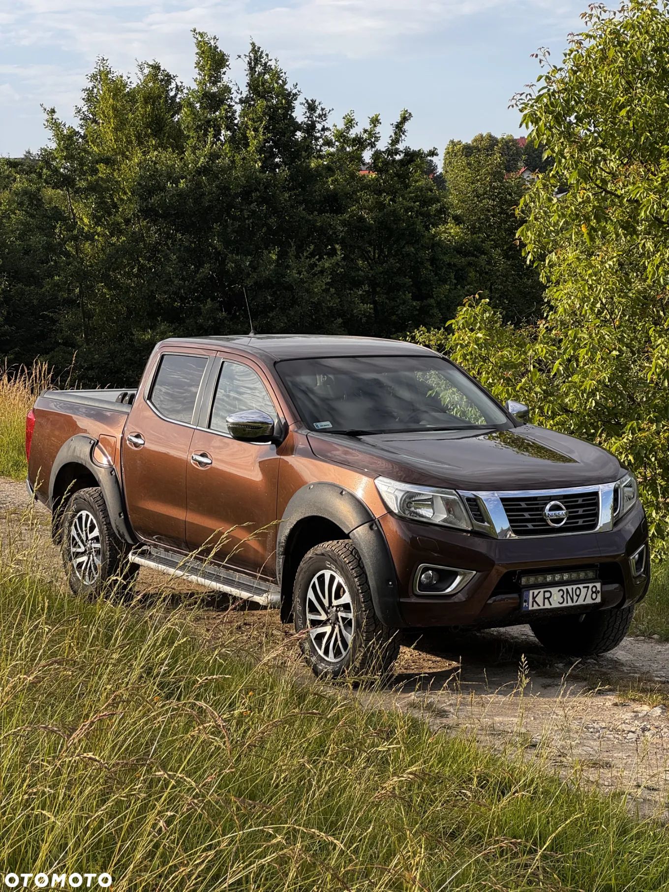 Nissan Navara - 1