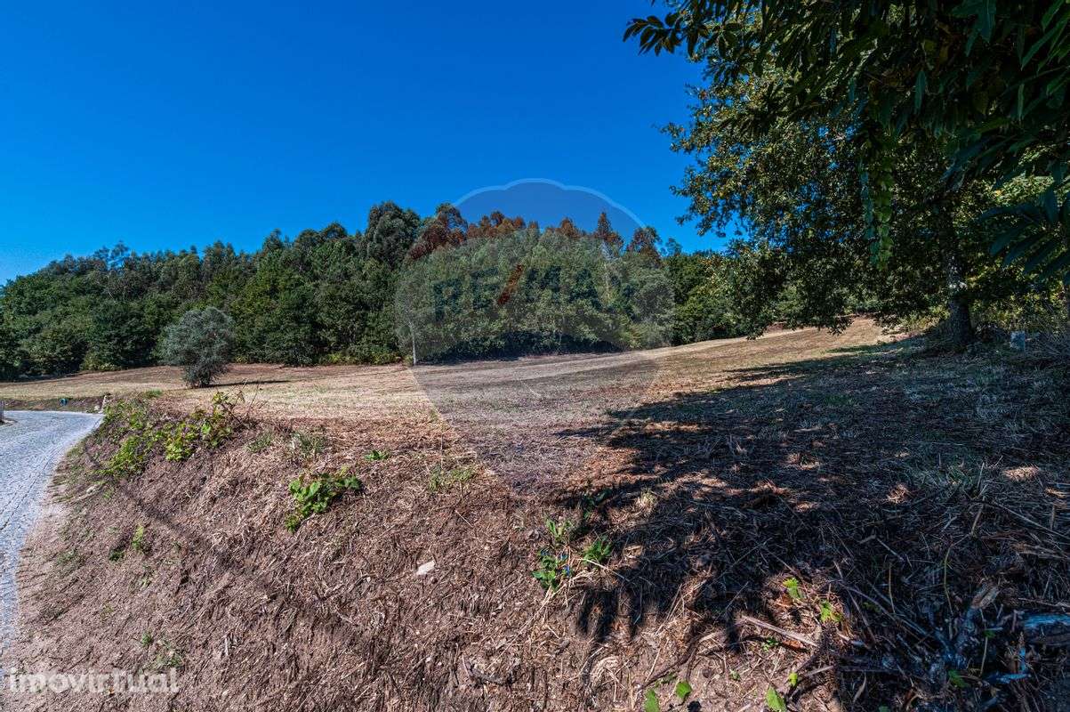Terreno  para venda - Grande imagem: 5/6