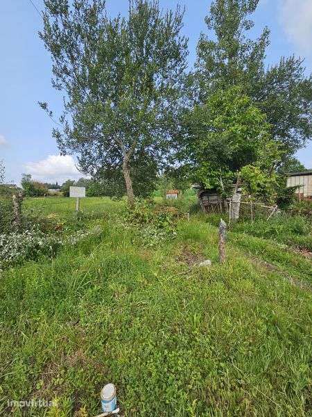 Terreno agrícola - Grande imagem: 2/8