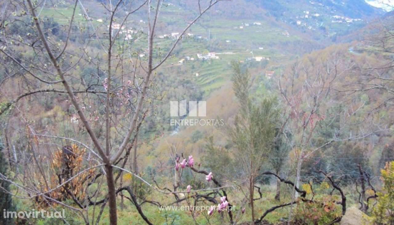 Venda Terreno, Ferreiros de Tendais, Cinfães - Grande imagem: 2/16