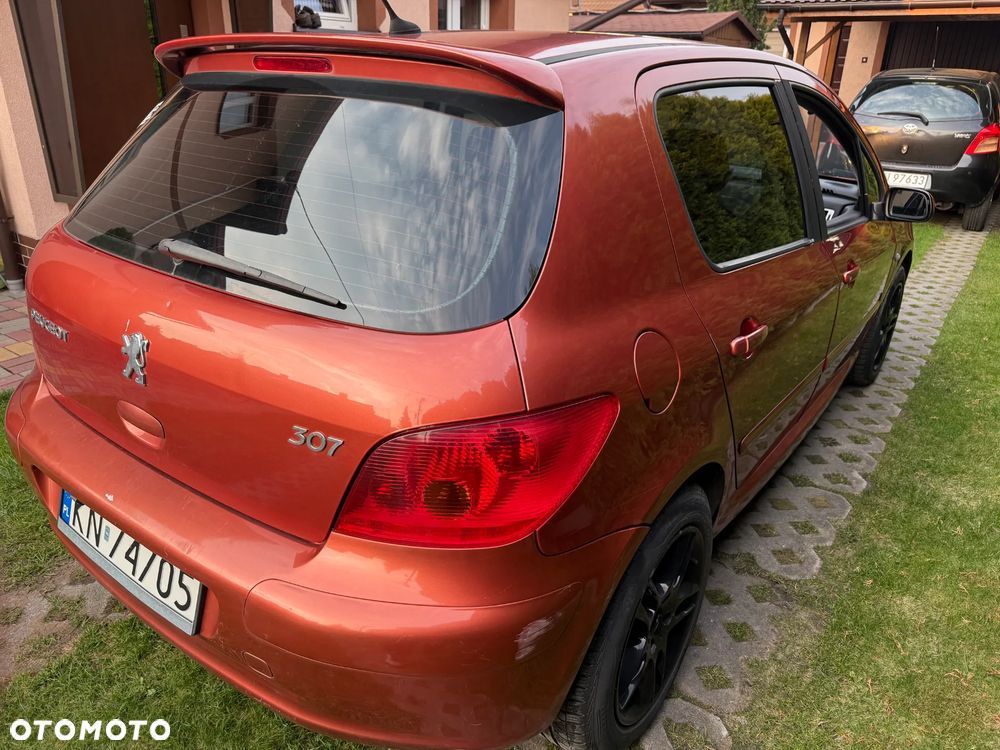 Peugeot 307 - 7