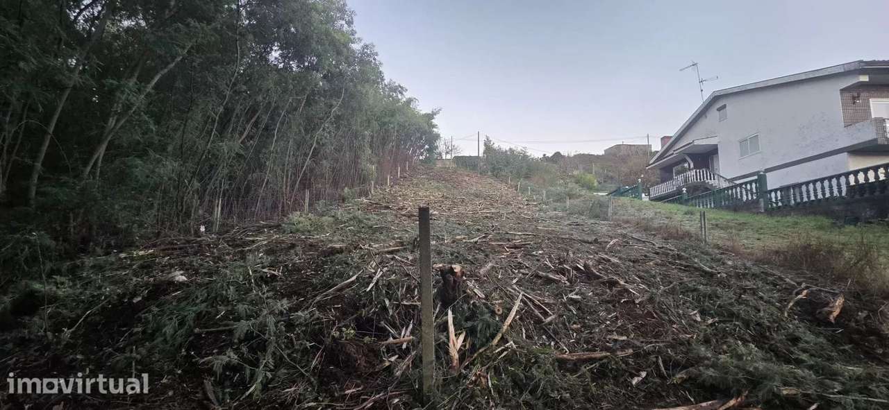 Onde o Sonho Encontra o Espaço Perfeito — Terreno Exclusivo no Coração - Grande imagem: 2/7