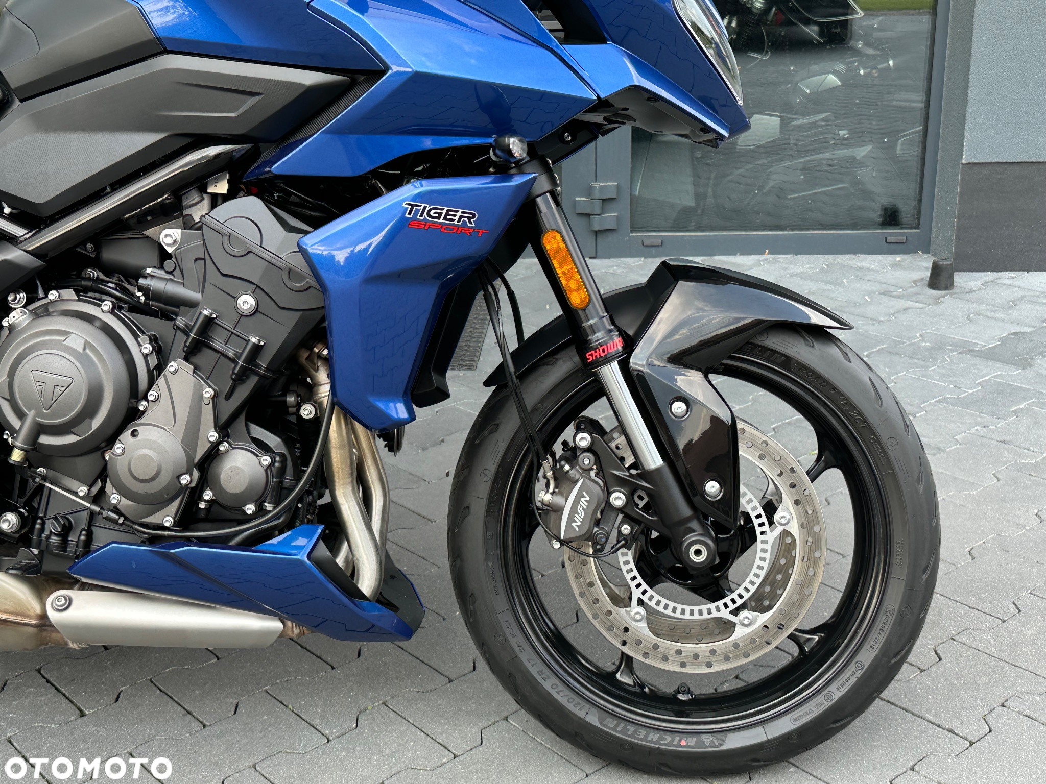 Triumph Tiger - 8