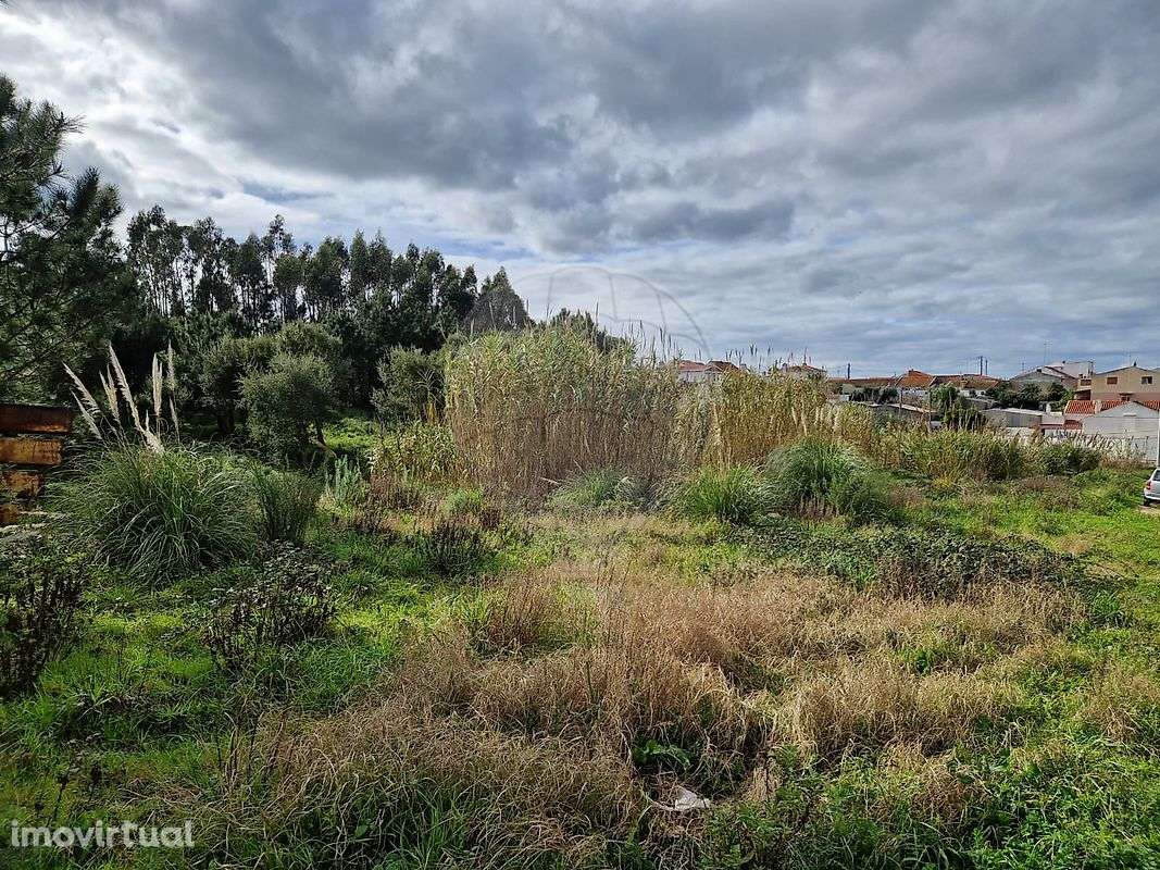 Terreno  para venda - Grande imagem: 3/11