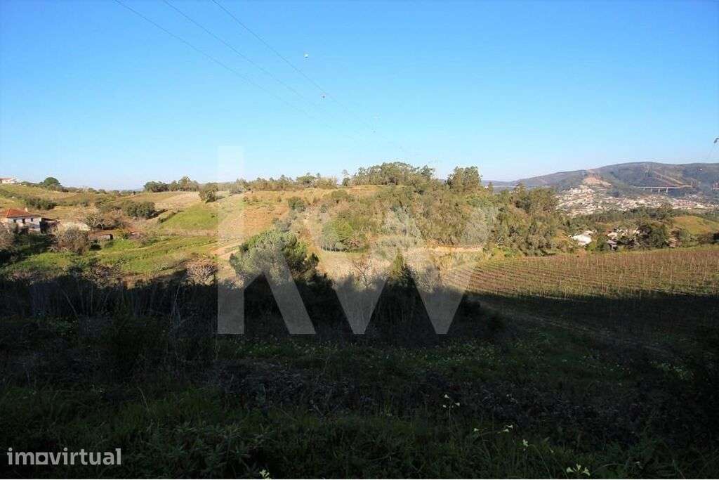 Terreno Rústico | 4850m2 | Marco dos Pereiros | Coimbra - Grande imagem: 3/12