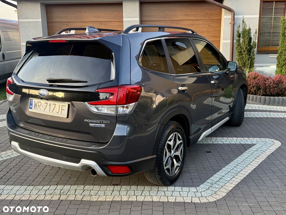 Subaru Forester - 6