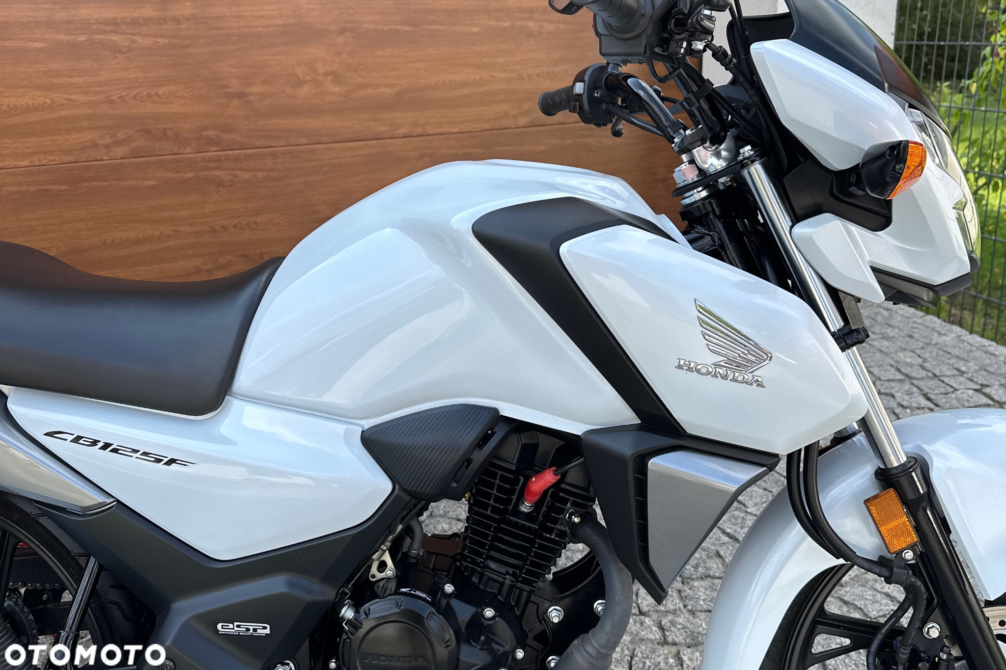 Honda CBF - 6